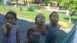 65227476_2240097229371744_3160826360528633856_n