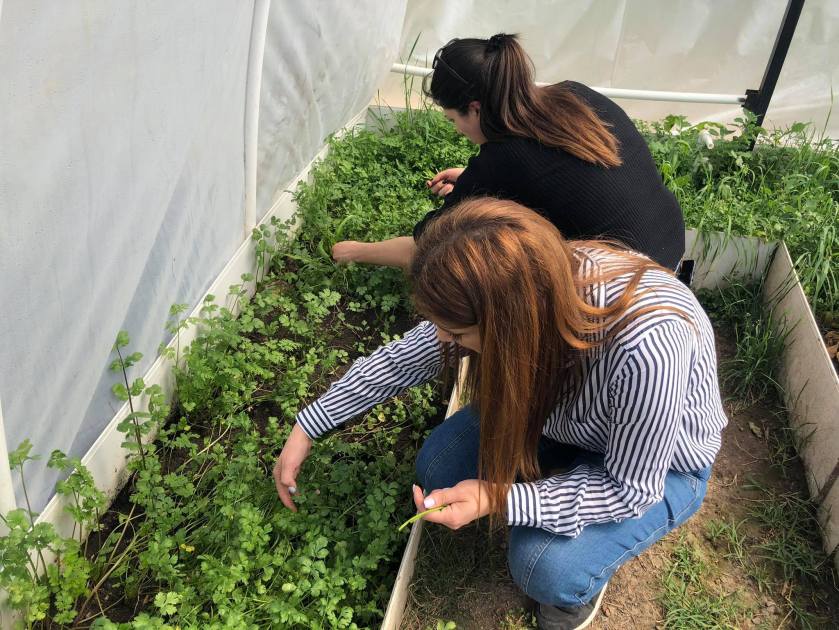 91057039_2545453409043916_6385665059665739776_n