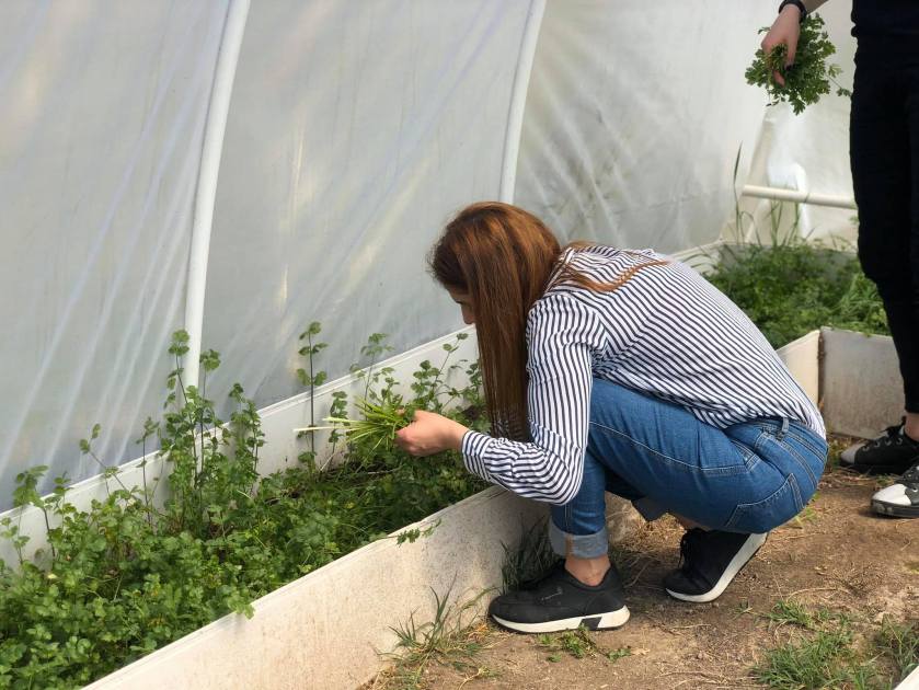 91284024_565701074033620_726957991198195712_n